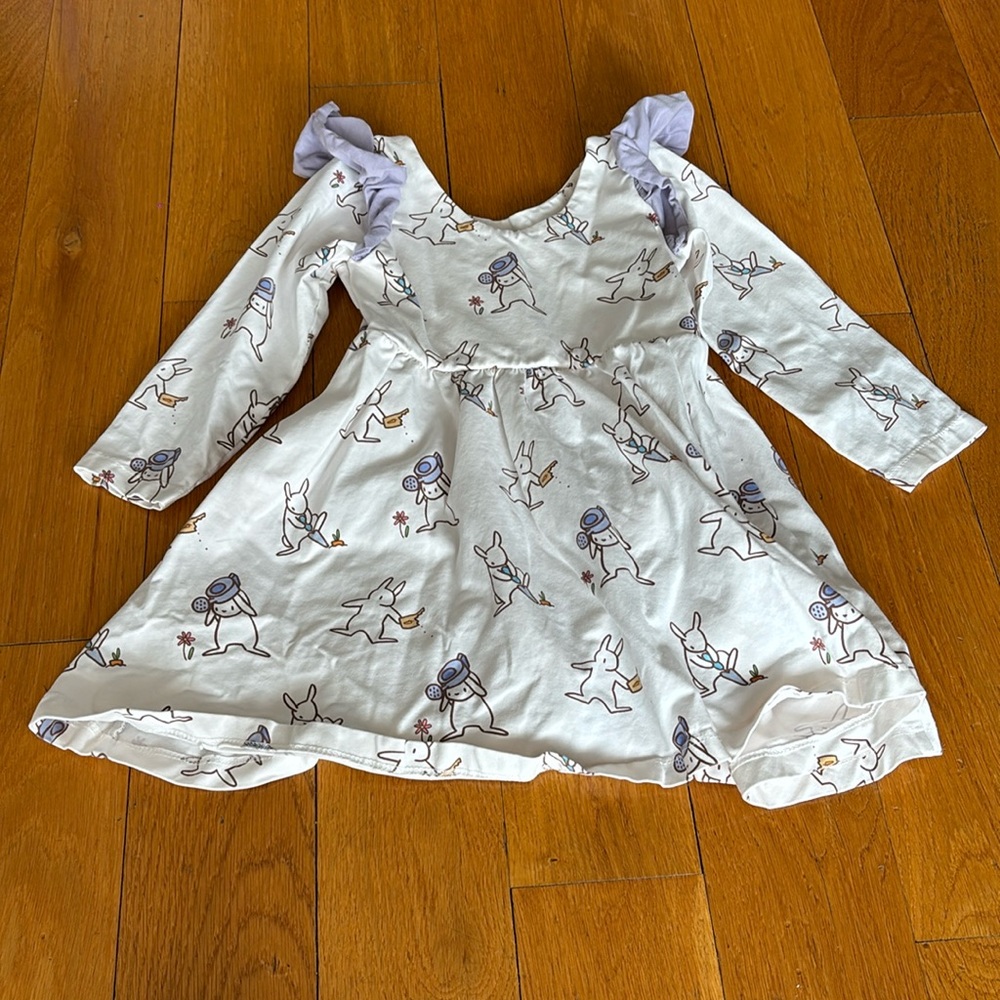 Monica and Andy Ruffle Sleeve Bunny Dress 4T